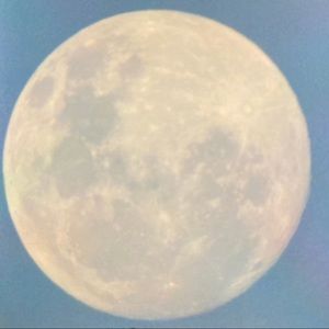 Meet your Posher, Greg